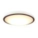 LED�V�[�����O���C�g 12�� ���F �E�b�h�t���[�� CEA12DL-5.0QWFM  �Ɩ� �A�C���X�I�[���}