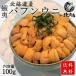 [.. hemicentrotus 100g] Hokkaido production .. hemicentrotus ( salt water sea urchin 100g).. sea urchin ..... hemicentrotus Hokkaido water production industry . challenge present porcelain bowl 