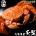 [ Hokkaido производство шерсть .660g×2] удивляться размер!... Boyle . внезапный скорость рефрижератор! четырёхугольный волосатый краб! вода производство промышленные круги . пробовать ограничение период только бесплатная доставка четырёхугольный волосатый краб 1 хвост . давление шт. 660g 2 хвост комплект 