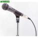 #TOA речь для микрофон [7223609:0][ витрина квитанция не возможно ]