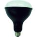 IRIS 568664 PROLEDS LEDŵ5500lm8595249:0[ŹƬԲ]