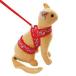 [ кейс распродажа ]petio кошка маленький блок soft шлейка с поводком ..S красный (6 шт. комплект )