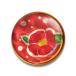  перо . промышленность ground Golf . маркер (габарит) 2 красный BH6055-62