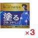 �����w������ �h��O���R�T�~�� �C�[�W�[�����[�t 50g �~3��
