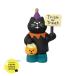 te Coreco n темно синий bru/ Trick or уход кошка / 2024 HAPPY OBAKE NIGHT DECOLE concombre