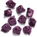 5973-( гонки / лента ) узор лента rose лиловый 2.5cm в среднем 10 шт /1 комплект 