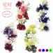  herbarium material for flower arrangement silver te-ji-.... rental mi saw profitable set pink * blue * green * purple 