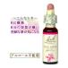bachi flower remeti10 Club Apple non aruko-p type 10ml flower essence 