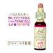 bachi flower remeti29 Star obbetsure Hem non aruko-p type 10ml flower essence 