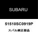 Х ե쥹 ʥѥͥRH 51510SC0919P