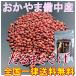 ......100g бесплатная доставка местного производства Okayama . средний производство 