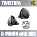ڹʡTWISTURA D-MINOR with MIC10mmǽࡼӥ󥰥˥å ͭۥ 0.78mm2pin 3.5mmץ饰 ꥱ֥ USB Type-C
