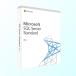 SQL Server 2019 Standard 16 core лицензия японский язык [ загрузка версия ] / Microsoft Microsoft