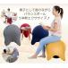 �o�����X�{�[�� �X�c�[�� �`�F�A �ω׏d300kg �Œ�t���[�� �n���h�|���v�t �֎q �e�����[�N �̊��g���[�j���O �֘A�摜3