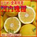 2026 подарок подарок подарок Kawauchi ..(.......* Ehime производство * love юг *3L размер )8kg входить (... для *. для бытового использования . рекомендация. )