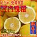  Kawauchi .. есть перевод * специальная цена (.......* Ehime * случайный размер )10kg входить (. для бытового использования . рекомендация. )