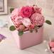  день соотношение . цветок . официальный день рождения цветок консервированный &a-tifi автомобиль ru аранжировка [ цветок Cube * розовый ] упаковка имеется . видеть Mai . брак память день бесплатная доставка 