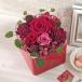  день соотношение . цветок . официальный день рождения цветок консервированный &a-tifi автомобиль ru аранжировка [ цветок Cube * красный ] упаковка имеется празднование рождения брак память день отправка другой бесплатная доставка 