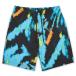  мужской купальный костюм REASON CLOTHING Lee znStorm Eye Poolside Shorts SWIM SHORTS плавки 