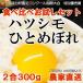 【送料無料】お米食べ比べお試しセット岐阜県ブランド米「ハツシモ」と「ひとめぼれ」計300g 2合（白米）