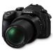 �y���Áz�y1�����ۏ؁z Panasonic �p�i�\�j�b�N LUMIX DMC-FZ1000 2010����f ���w16�{ �u���b�N