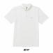 VOLCOM �{���R�� Banger Short Sleeve Polo Shirt �o���K�[�V���[�g�X���[�u�|���V���c A0102306�y ���� T�V���c ���_���t�B�b�g �z�y���[���ցE����s�z �֘A�摜5