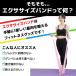 �V����� ���K�o���h �Z���o���h �g���[�j���O�`���[�u �S���o���h ���S�� ���� �g���[�j���O �V�F�C�v�A�b�v �p�� �؃g�� �`���[�u �֘A�摜2