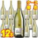 �T���^ �w���i �A���p�J �V�����h�l �Z�~���� 750ml 12�{ �P�[�X�̔� �� ���C�� �`�� ���K�i wine
