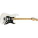 Fender 쥭 Player Stratocaster? with Floyd Rose?, Maple Fingerboard