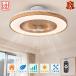 �V�[�����O�t�@�����C�g LED �a�� ���a60cm 6�i�K���� 3�i�K���F ���� ���t��] �����R�� �^�C�}�[ �ؖڒ� �T�[�L�����[�^�[�t���Ɩ� ���r���O �Q�� �_�C�j���O
