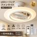 �V�[�����O�t�@�����C�g LED 12�� 14�� �t�@���t���V�[�����O���C�g �T�[�L�����[�^�[�t�� DC���[�^�[ Alexa�Ή� ������U�� ���t��] �������F �����R��
