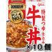 DONBURI. корова фарфоровая пиала 10 порций комплект 