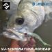 �R�A�}�� VJ-10 �o�C�u���[�V�����W�O�w�b�h 10g �o�C�u���[�V�������A�[ COREMAN VJ-10 VIBRATION JIGHEAD