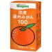 nagano помидор местного производства мандарин уншиу 100 125ml