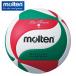 moru ton volleyball 4 number Pro Touch 4 number lamp V4M4550 molten