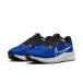  Nike бег обувь мужской 23FA zoom Pegasus 40 DV3853-401 NIKE