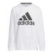  Adidas футболка длинный рукав Junior Esse n автомобиль ruz плюс постоянный Fit большой Logo футболка с длинным рукавом JE1719 KWF34 adidas