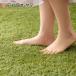 [ free shipping ] artificial lawn Iris o-yama weed proofing artificial lawn 1m×2m garden gardening weed proofing lawn grass raw mat BP-3012 IRIS OHYAMA..