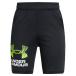 Under Armor 7 минут длина брюки Junior UA TECH LOGO SHORTS 1383333-004 UNDER ARMOUR