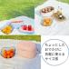 �y���������z�������ł��킢�� �x���g�t���N�[���[�{�b�N�X 6L �R���p�N�g �ۗ� ���^ �A�E�g�h�A VS-CB029 �x���\�X VERSOS �y������z������z�d �֘A�摜3