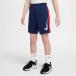  Nike (NIKE) шорты Junior DF TRPHY23 шорты HF8081-410