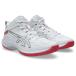  Asics (asics) корзина обувь женский GELHOOP V17 1063A096-105