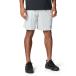  Under Armor (UNDER ARMOUR) шорты мужской UA TECH WORDMARK SHORTS 6012546-014