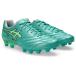  Asics (asics) футбол шиповки мужской DS LIGHT PRO широкий ti-e скользящий Pro широкий 1103A122-300