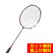  Babolat Babolat бадминтон ракетка X-FEEL Fury 602482 [ внутренний стандартный товар ]