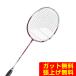  Babolat Babolat бадминтон ракетка X-FEEL Origin 602484 [ внутренний стандартный товар ]