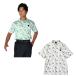  links (LYNX) Golf одежда рубашка-поло короткий рукав мужской ma гонг s проверка короткий рукав SH LXG62111 [2026 год весна лето модель ]