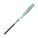  Mizuno MIZUNO софтбол bat 3 номер для мужской женский soft 12 дюймовый резина мяч для AX4 1CJFSA0285