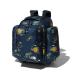  North Face рюкзак Junior Sunny туристский фургон 40+6 NMJ71700 od