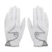  TaylorMade TaylorMade Golf обе рука для перчатка женский wi мужской Gris to Element перчатка пара TJ178 [ почтовая доставка возможно ] od